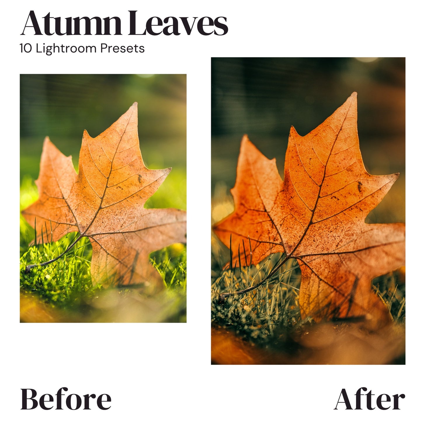 10 AUTUMN LEAVES Lightroom Presets, 10 Mobile & Desktop Presets, Warm Moody Presets, Autumnal, Fall, Bright Orange, Outdoor, Family, Nature - KosmosMockups