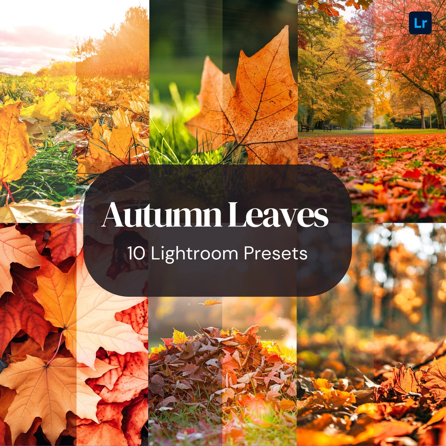 10 AUTUMN LEAVES Lightroom Presets, 10 Mobile & Desktop Presets, Warm Moody Presets, Autumnal, Fall, Bright Orange, Outdoor, Family, Nature - KosmosMockups